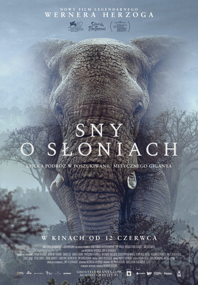 Dokumentalna Kreska: Sny o słoniach