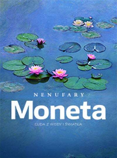 Sztuka na ekranie: Nenufary Moneta